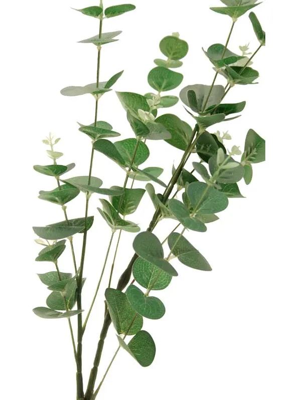 Kunst eucalyptus tak