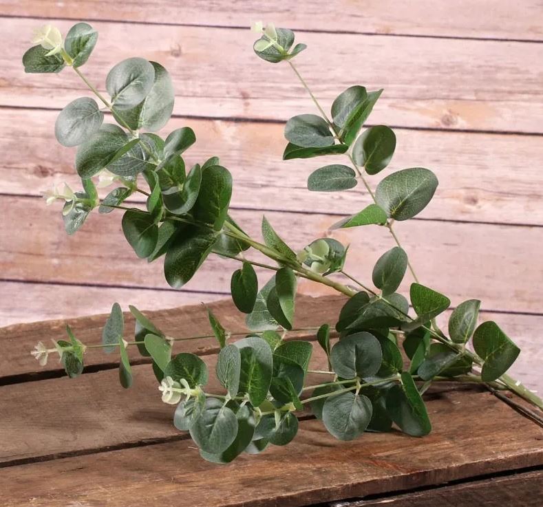 Kunst eucalyptus tak